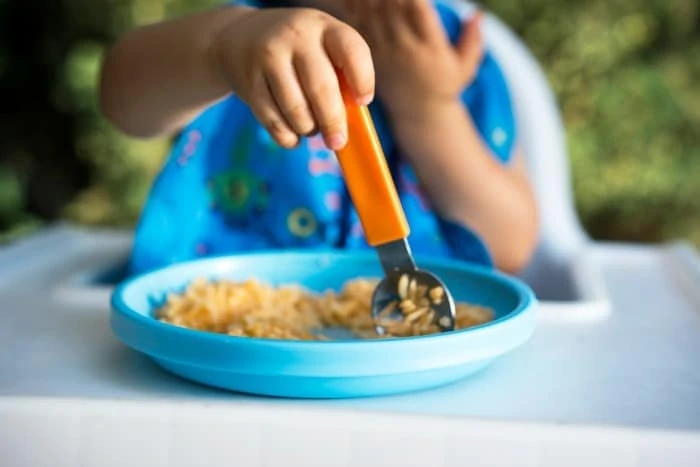 20 toddler meal and snack ideas featured
