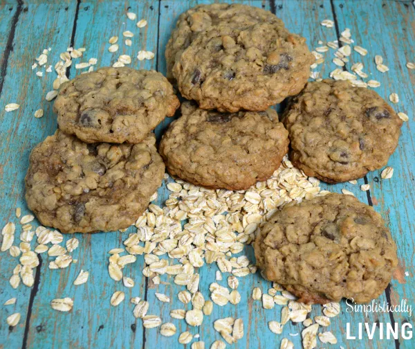 lactation cookies with chocolate chips