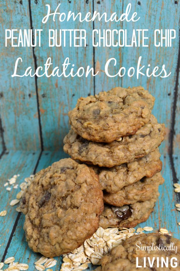 lactation cookies