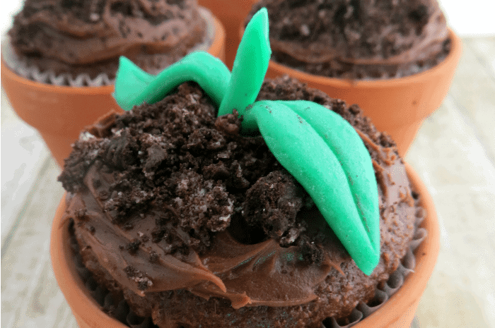 spring sprout cupcakes featured