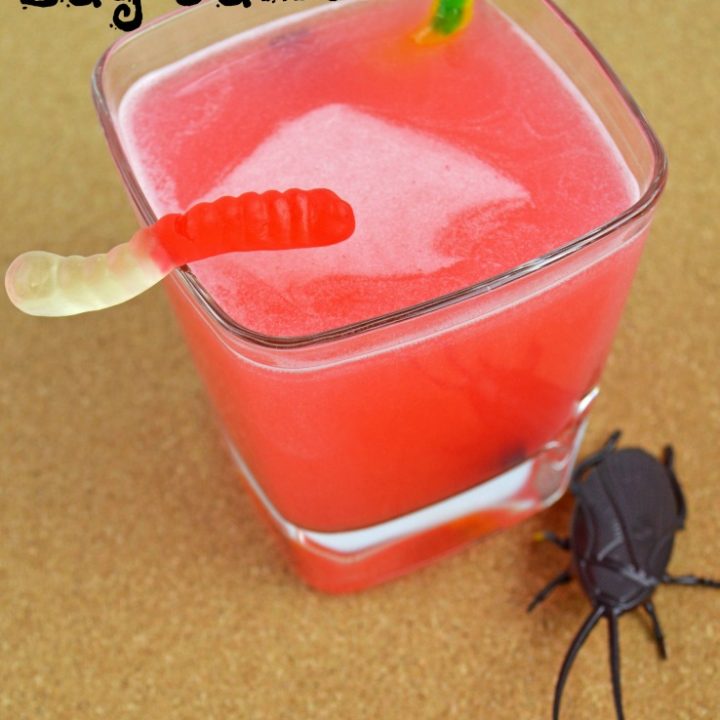 Homemade Bug Juice