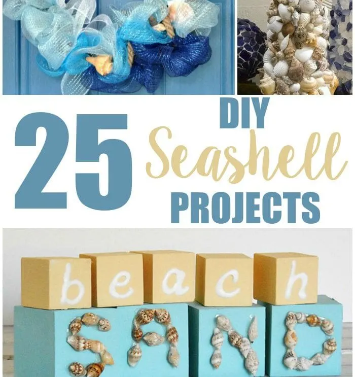 25-DIY-Seashell-Projects featured