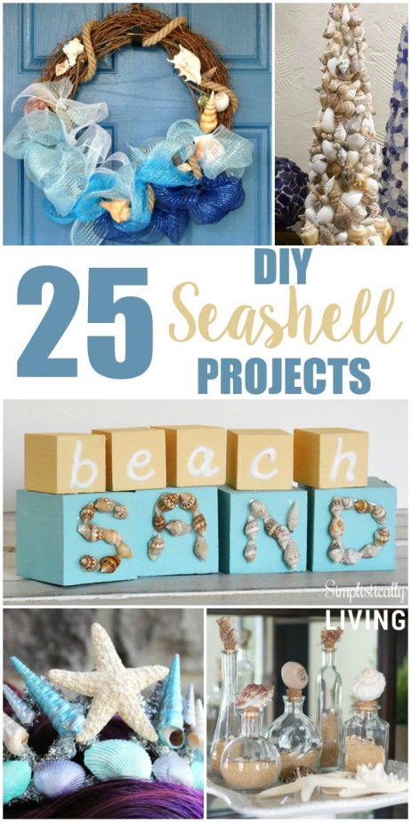 25 DIY Seashell Projects