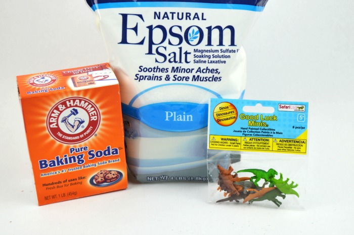dinosaur bath salt supplies