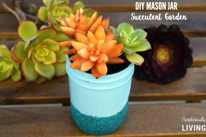 mason jar succulent garden featured