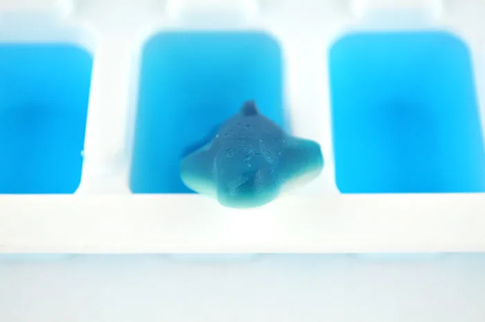 shark ice cubes inprocess3