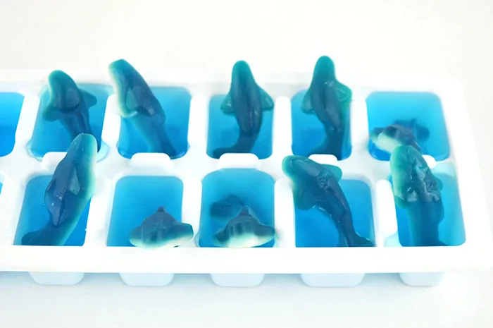 shark ice cubes inprocess4