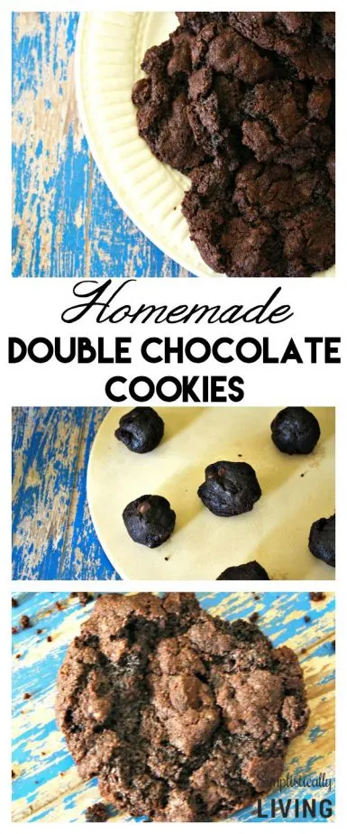 Homemade Double Chocolate Cookies Pinterest