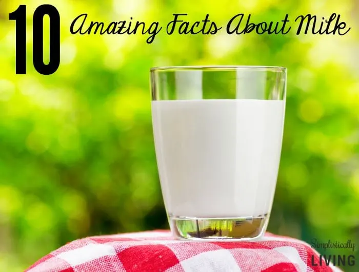 10 Amazing Facts About Milk Featured