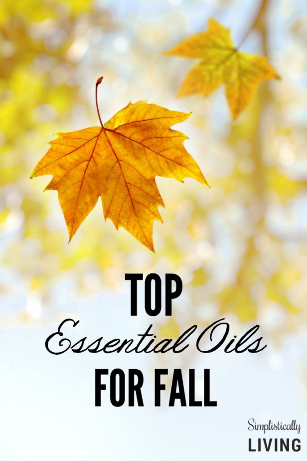 top essential oils for fall