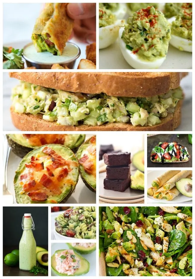 avocado recipes5