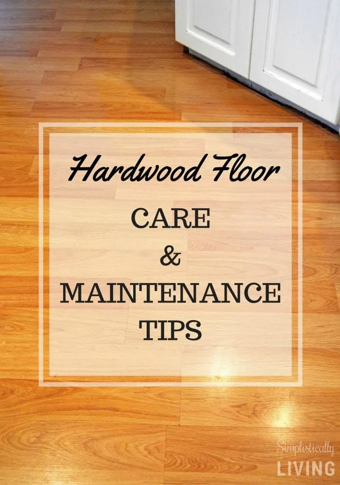 Hardwood Floor Care Maintenance Tips, Roomba Hardwood Floors Scratches Easily