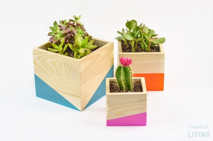 DIY Color Block Wood Planter Featured