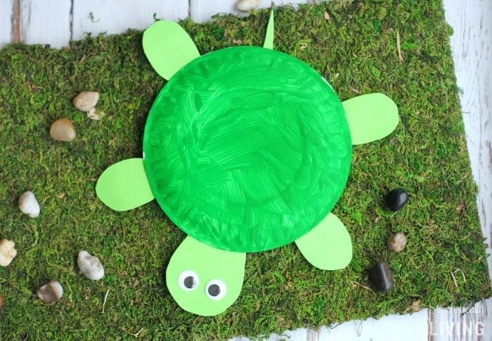 DIY Turtle Paper Plate Featured