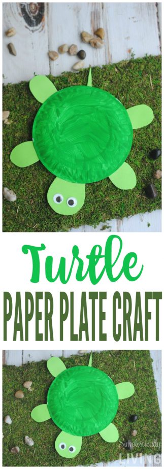 DIY Turtle Paper Plate