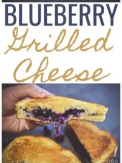 cropped-Blueberry-Grilled-Cheese.jpg