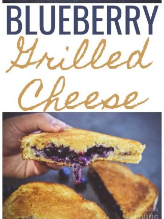 Blueberry Grilled Cheese
