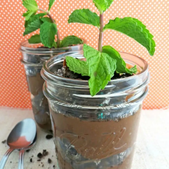 Mint Chocolate Plant Parfait