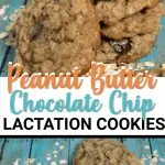 peanut butter lactation cookies