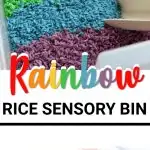 rainbow sensory bin for play