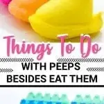THINGS TO DO WITH PEEPS