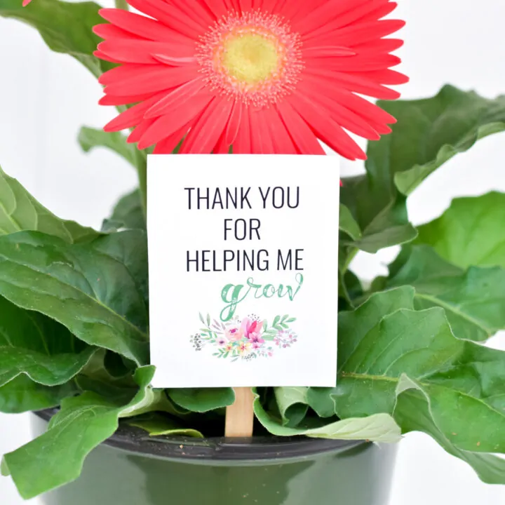 ‘THANK YOU FOR HELPING ME GROW’ TEACHER APPRECIATION GIFT