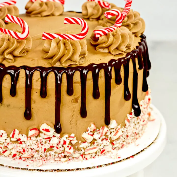 Chocolate Candy Cane Cake