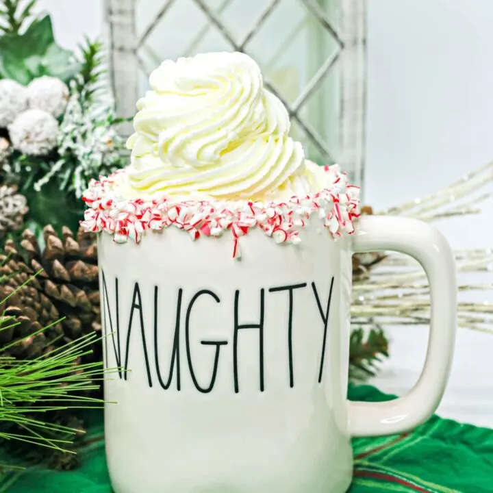 Boozy Peppermint Hot Cocoa