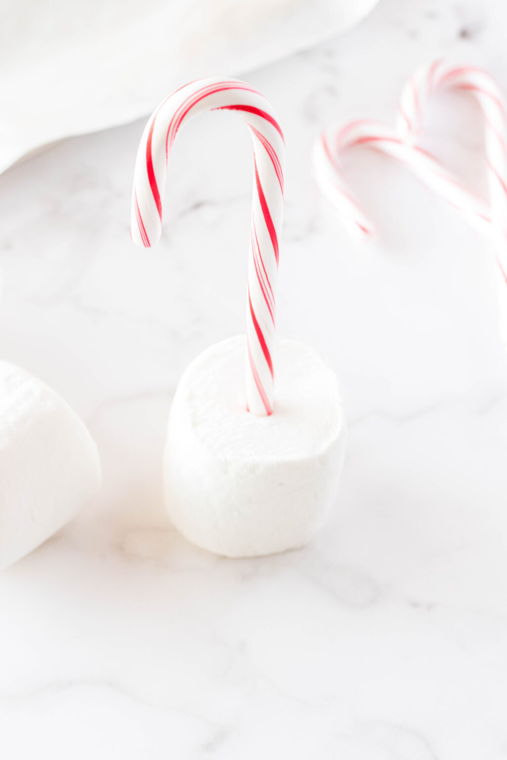candy cane in a marshmallow