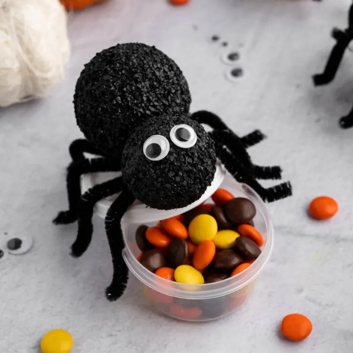 Spider Treat Containers