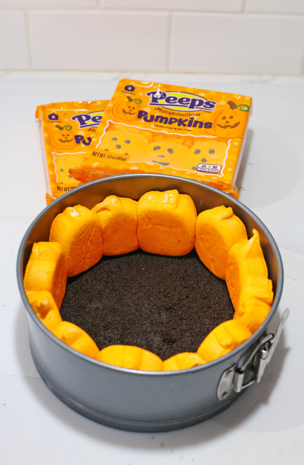 pumpkin peeps inside cheesecake pan