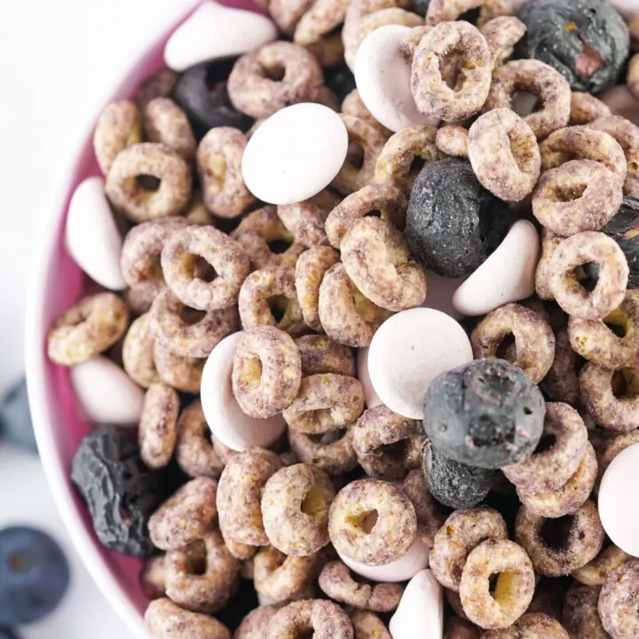 Blueberry Baby Trail Mix