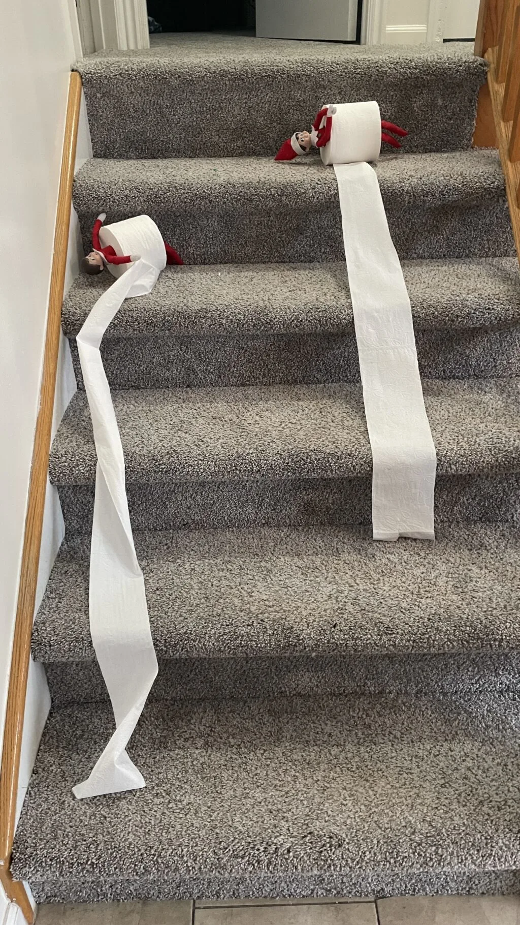 elves arriving in toilet paper rolls
