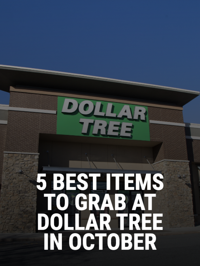 5 Best Items to Grab at Dollar Tree in October