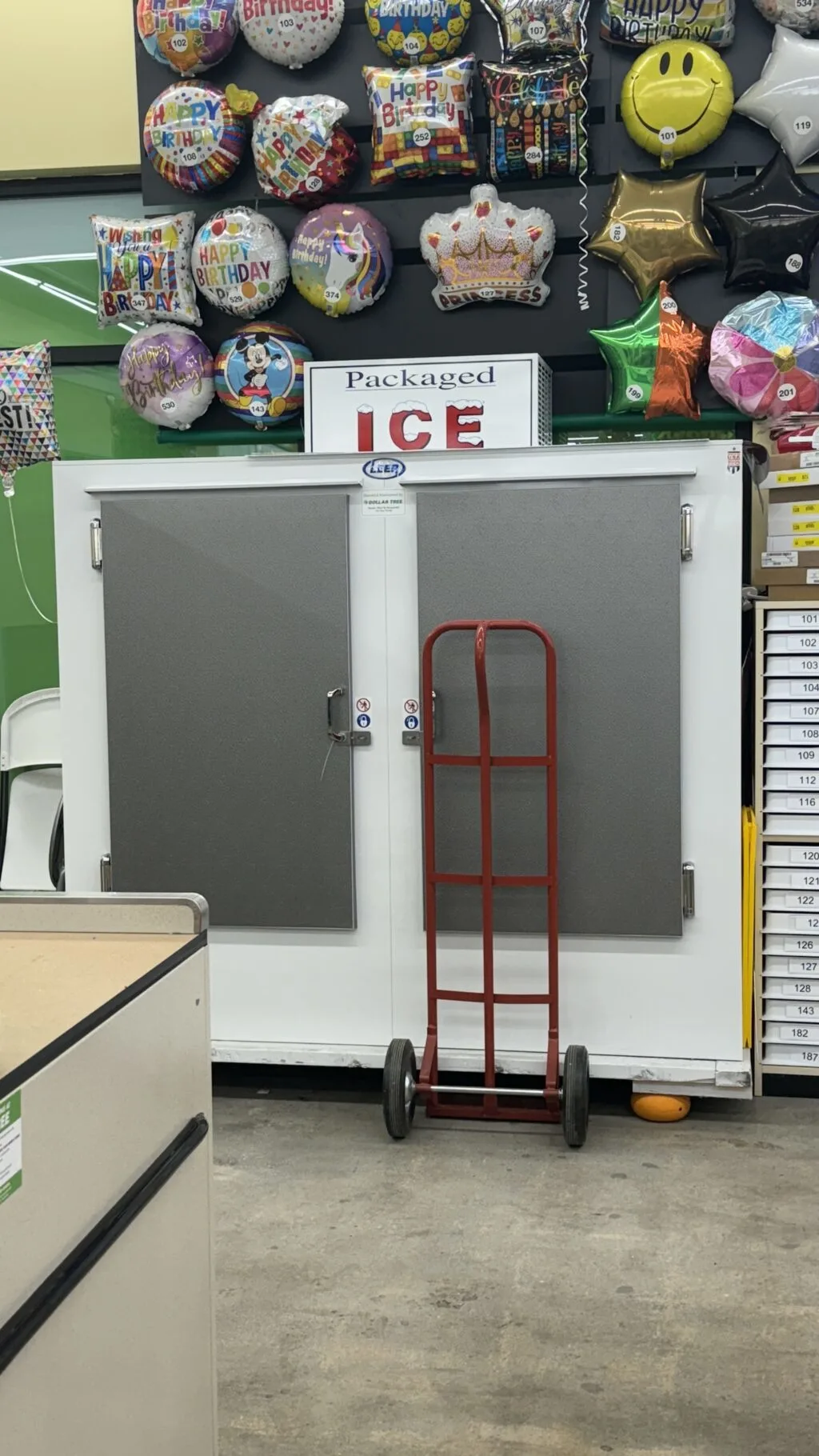 ice container at dollar tree
